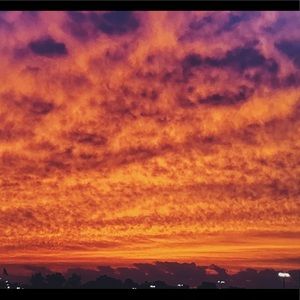 Meet your Posher, Lily